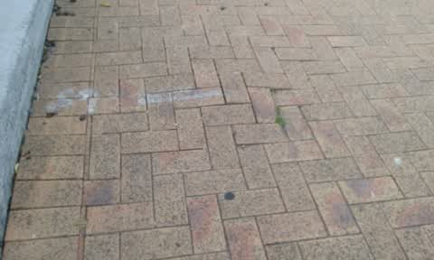 Roading/Streets, a report photo