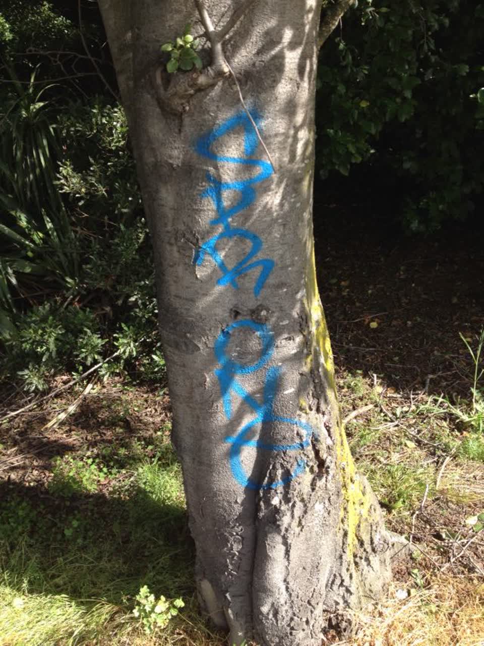 The photograph attached to this graffiti report