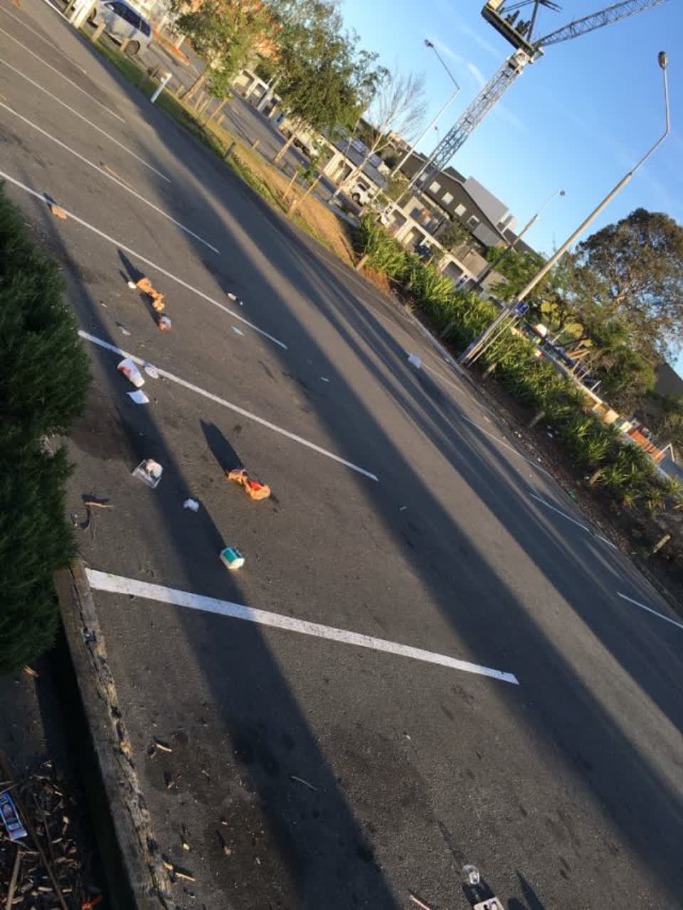 The photograph attached to this rubbish/recycling report