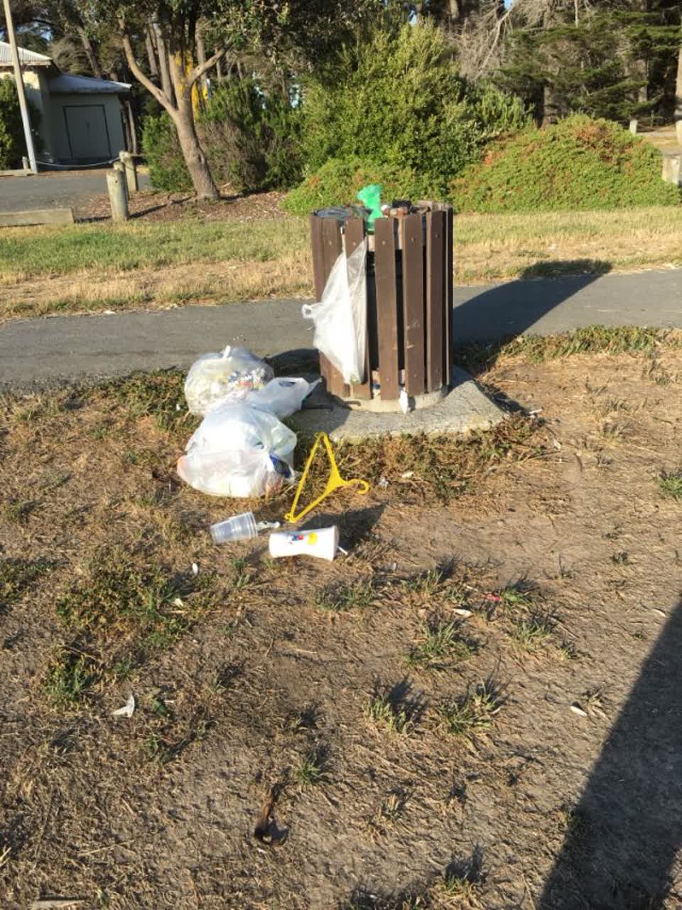 The photograph attached to this rubbish/recycling report