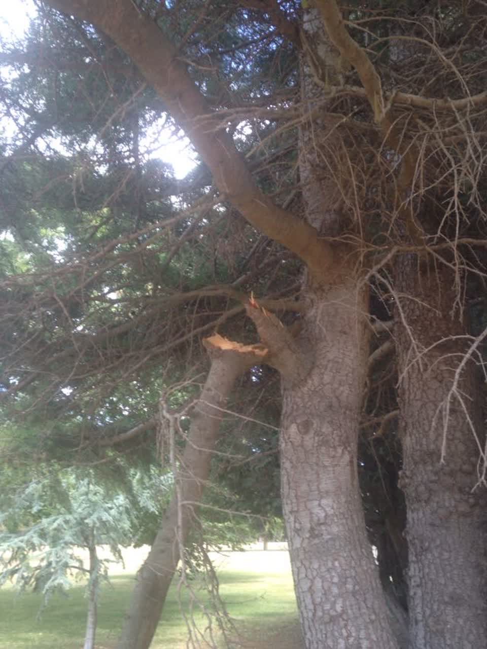 The photograph attached to this parks report