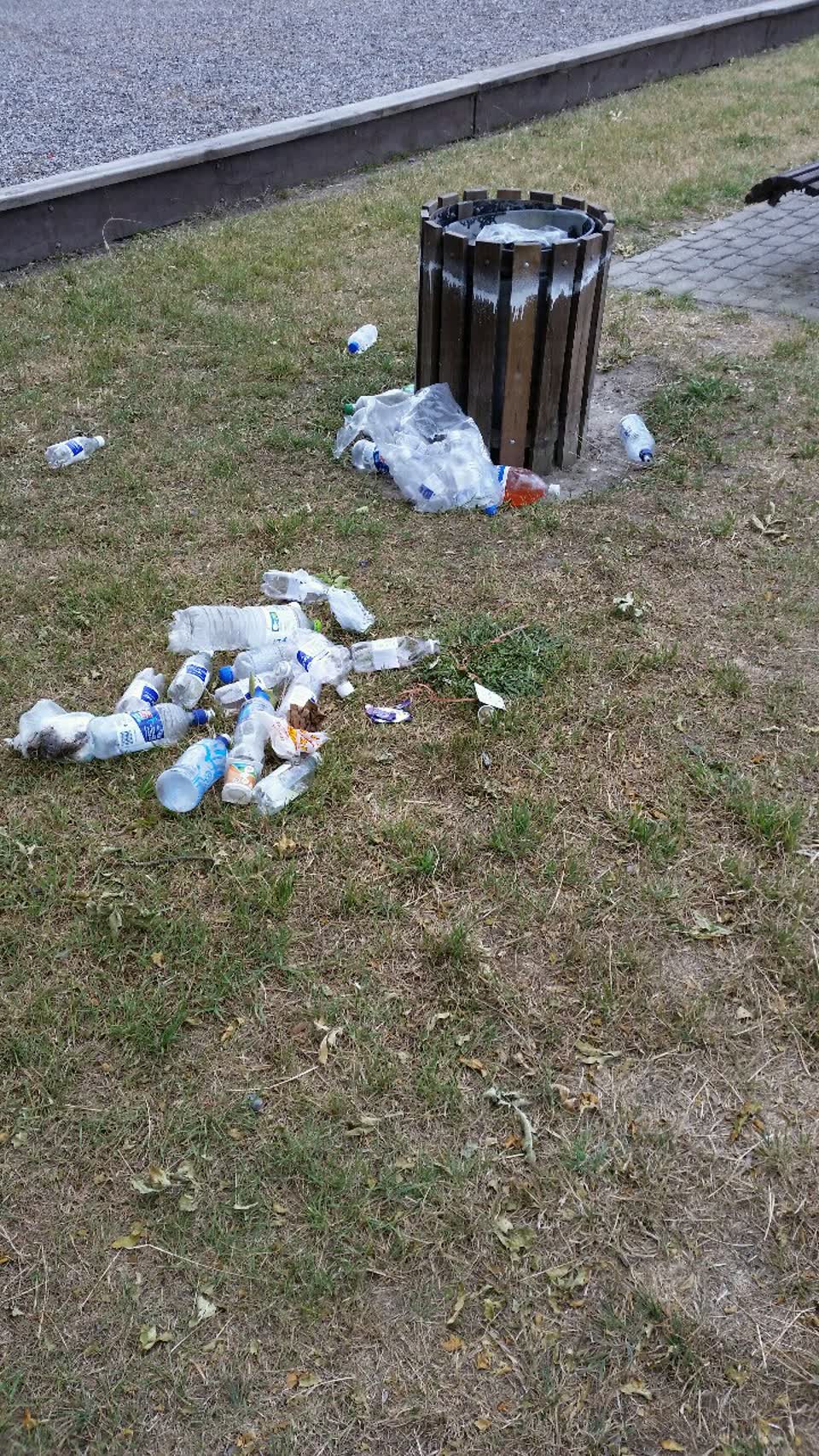 The photograph attached to this parks report