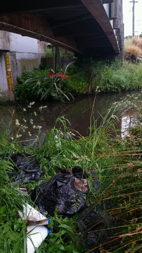 Rubbish/Recycling, a report photo