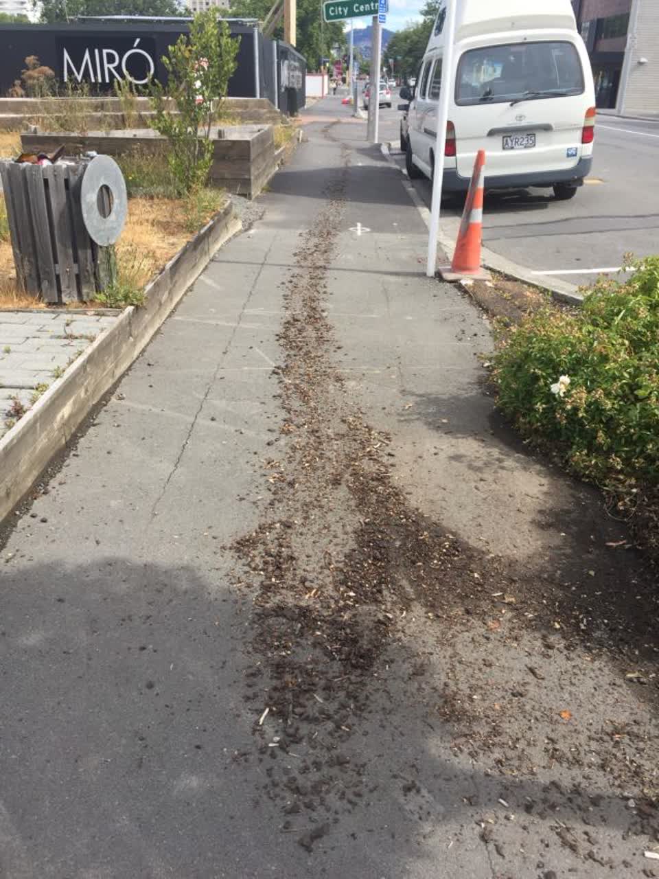 The photograph attached to this rubbish/recycling report