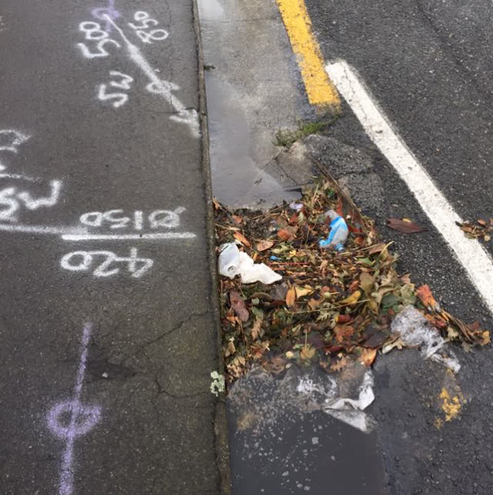 The photograph attached to this wastewater/stormwater report