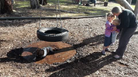 Parks, a report photo