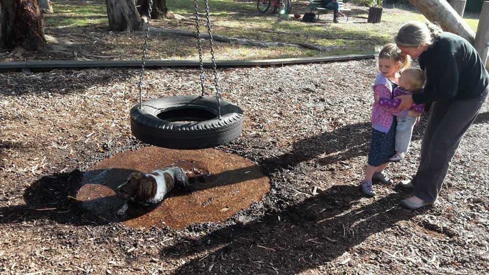 The photograph attached to this parks report