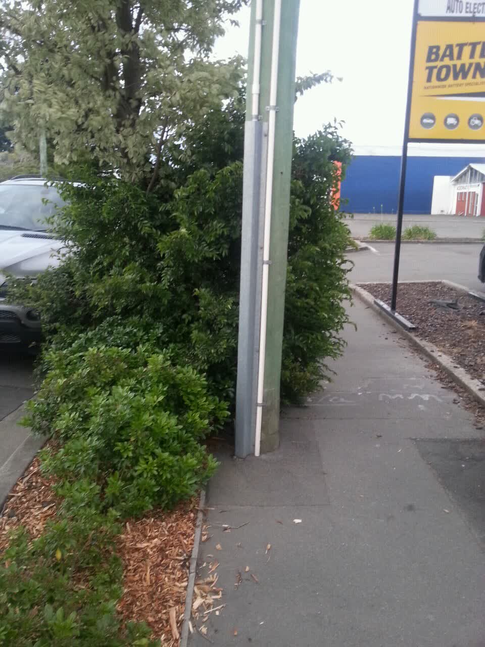 The photograph attached to this parks report