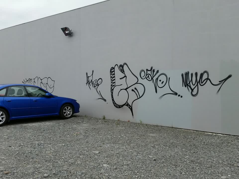 The photograph attached to this graffiti report