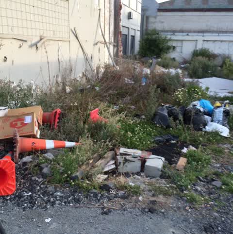 Rubbish/Recycling, a report photo