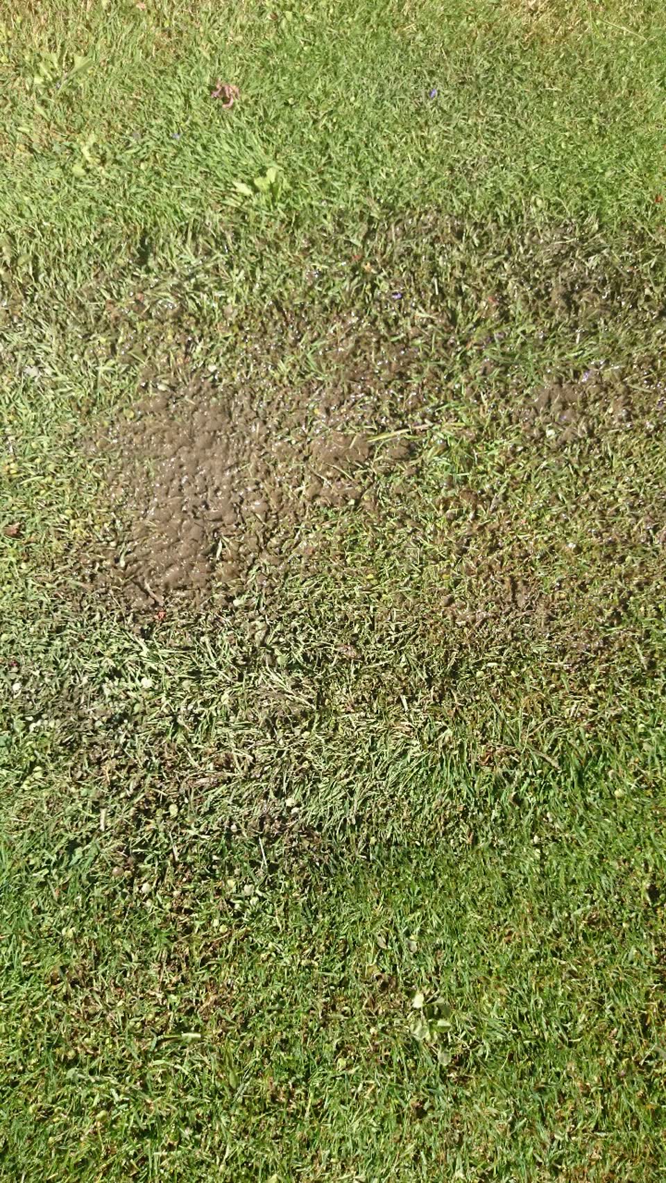 The photograph attached to this wastewater/stormwater report