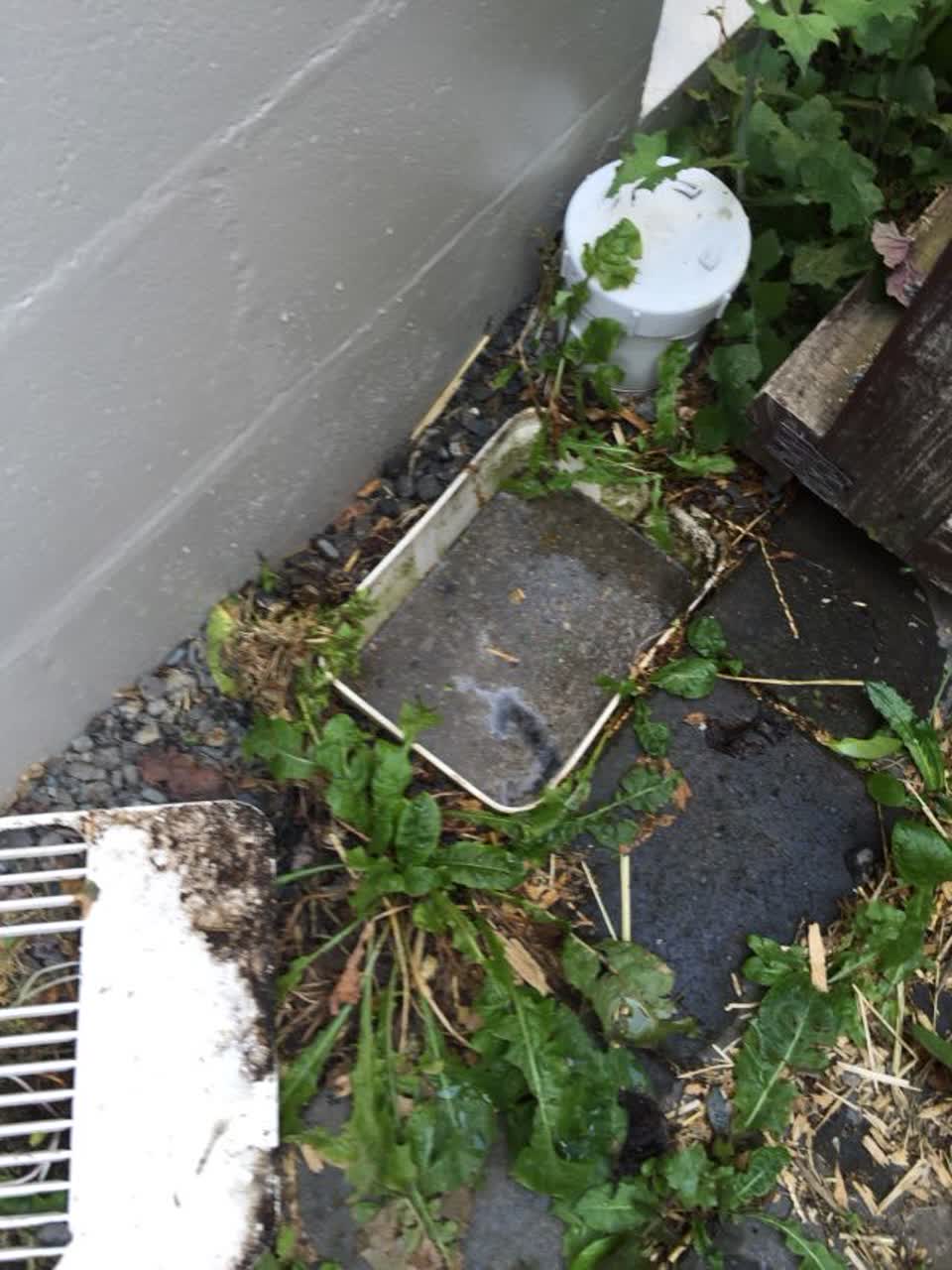 The photograph attached to this wastewater/stormwater report
