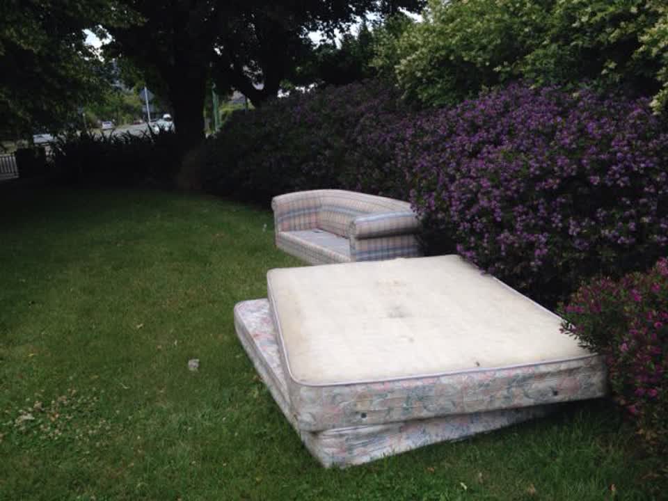 The photograph attached to this parks report