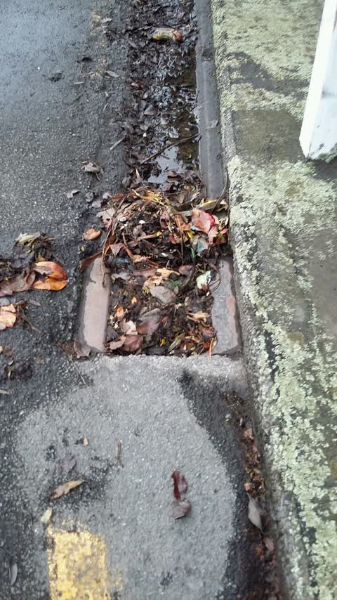 Rubbish/Recycling, a report photo