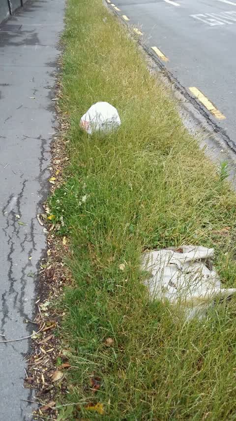 Rubbish/Recycling, a report photo
