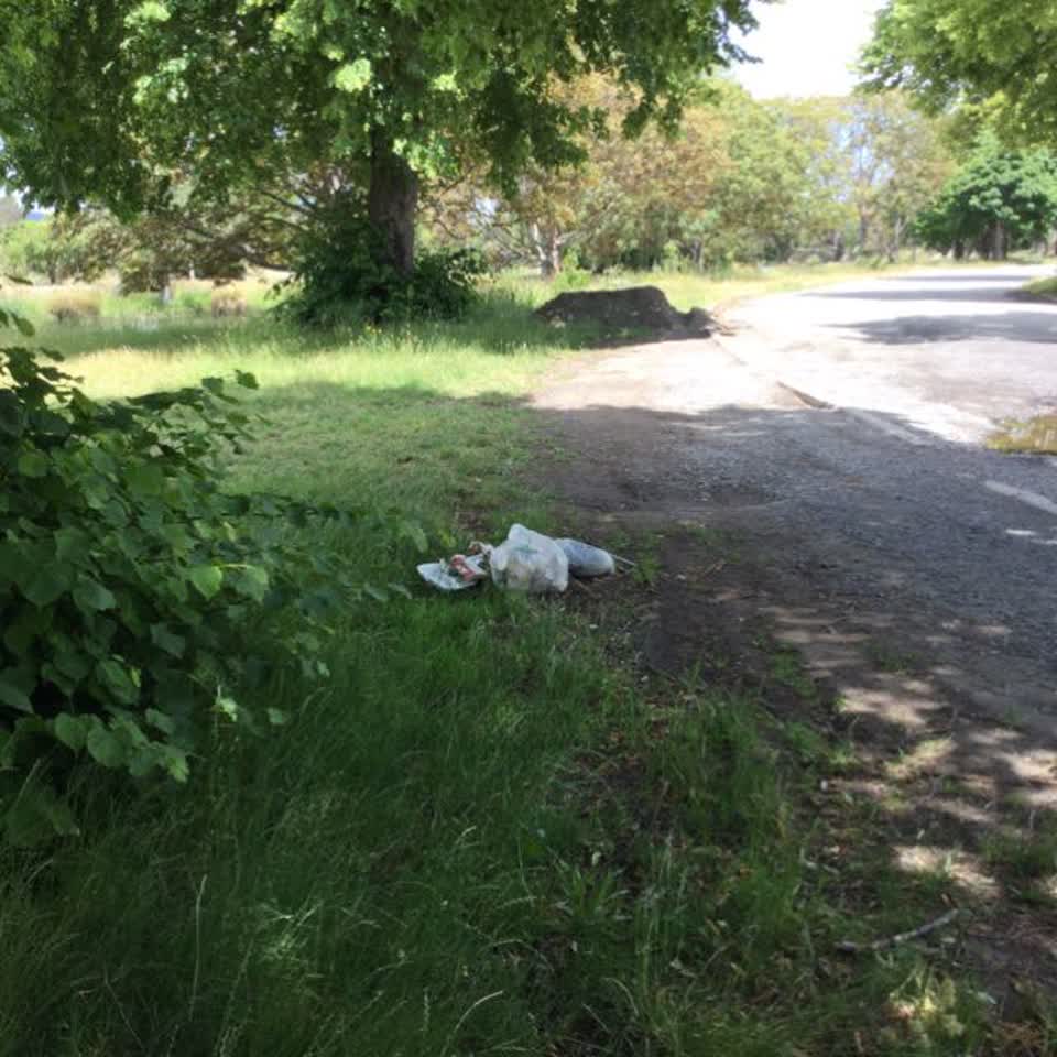 The photograph attached to this rubbish/recycling report