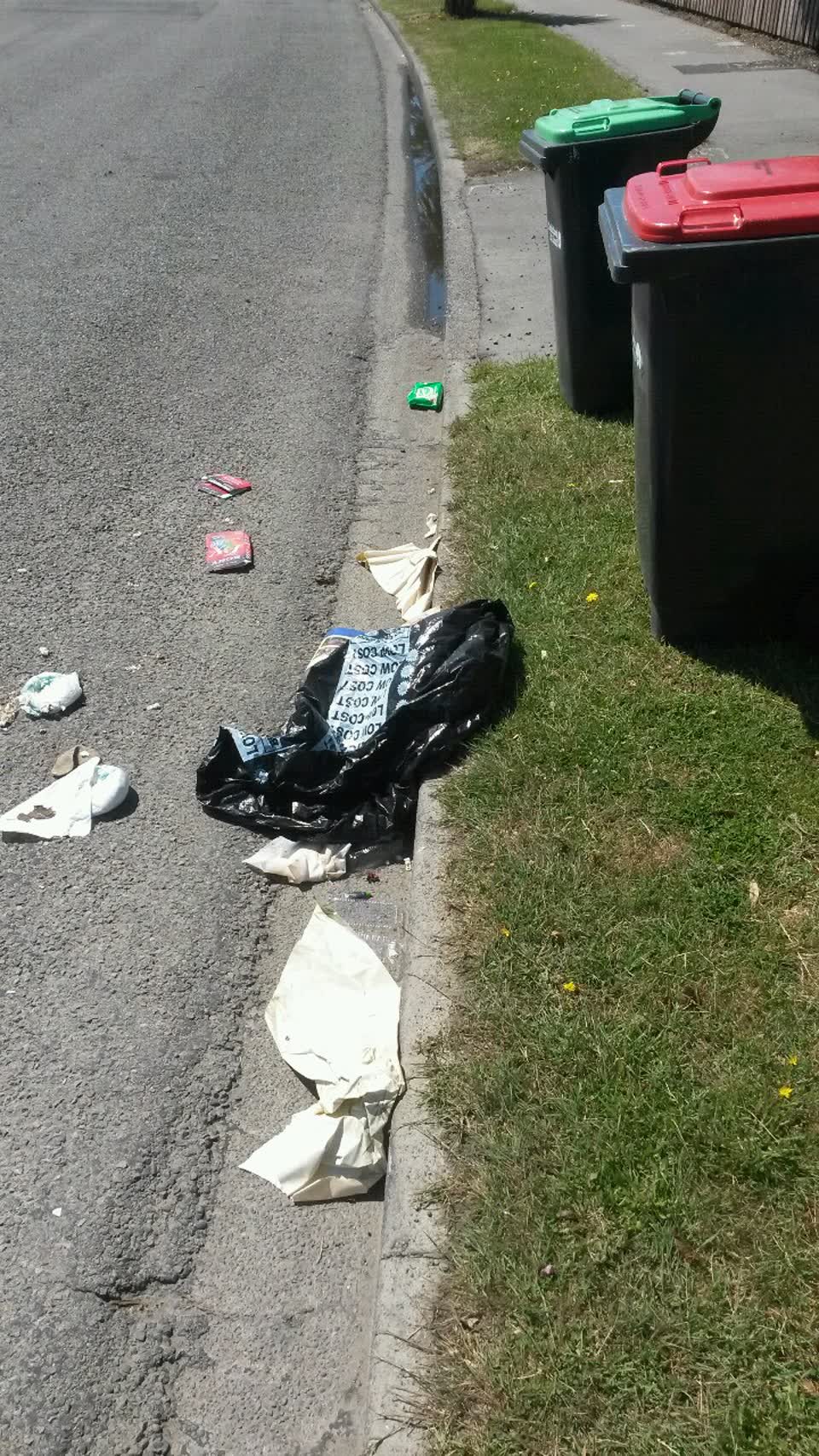 The photograph attached to this rubbish/recycling report
