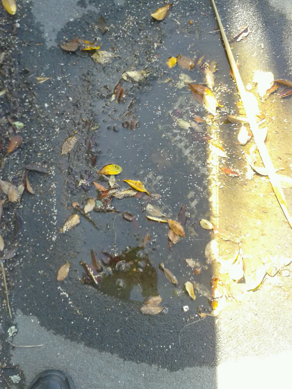 The photograph attached to this wastewater/stormwater report
