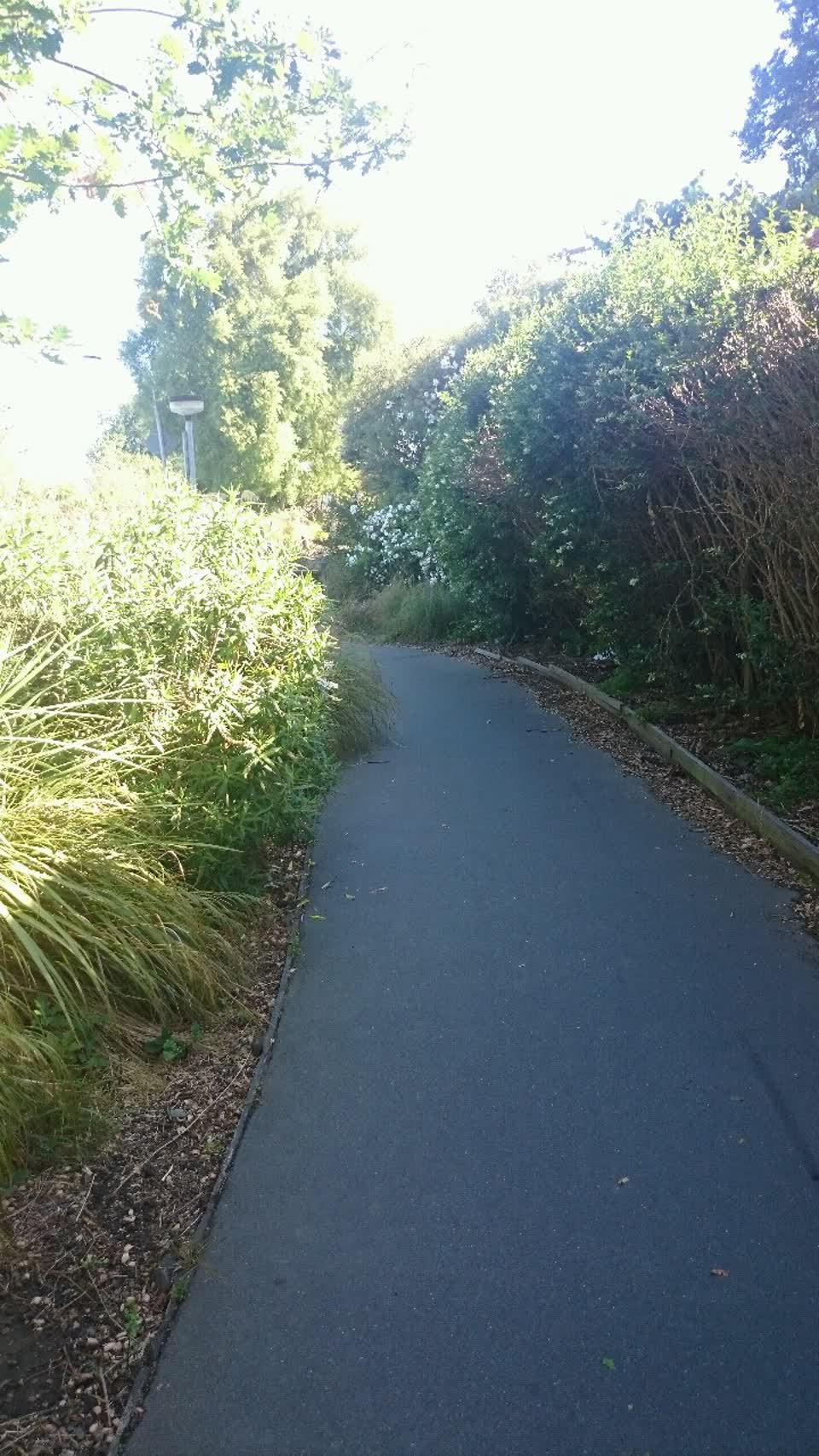 The photograph attached to this parks report