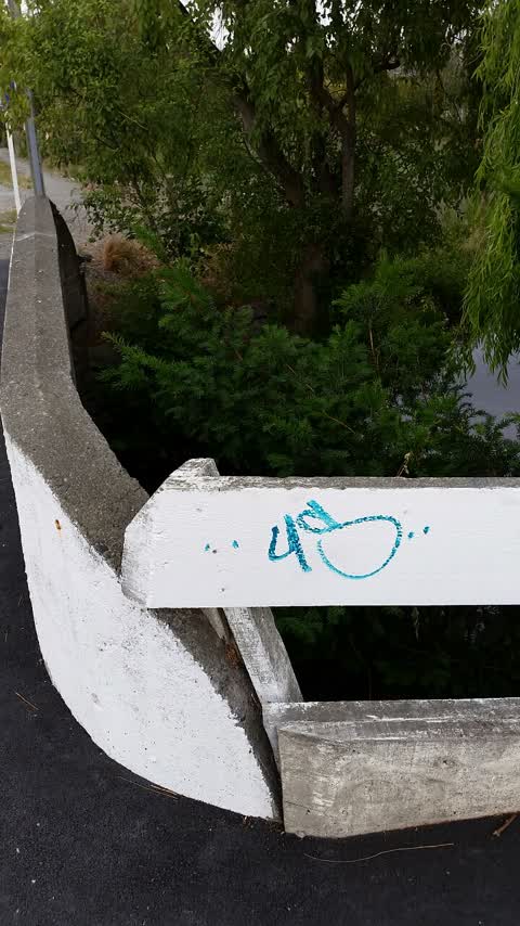 Graffiti — a report photo