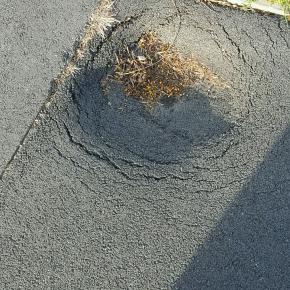 The photograph attached to this roading/streets report