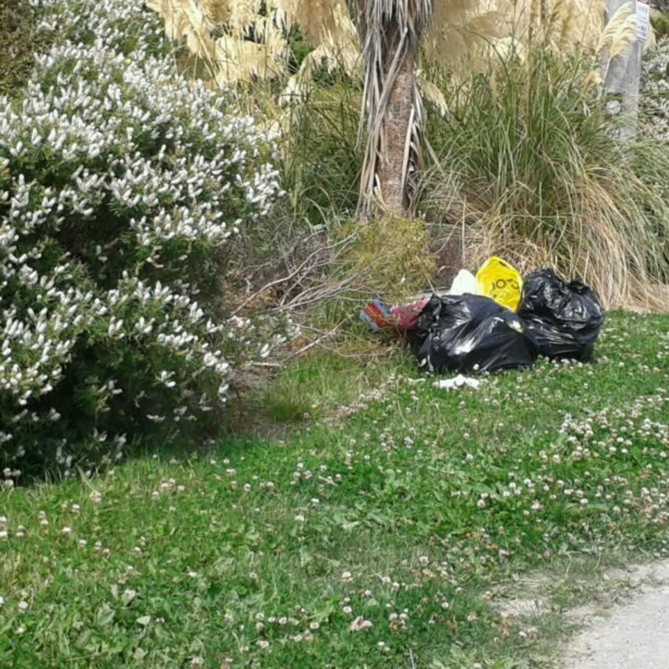 The photograph attached to this rubbish/recycling report