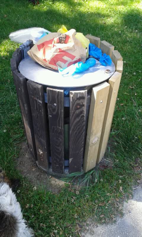 Rubbish/Recycling, a report photo