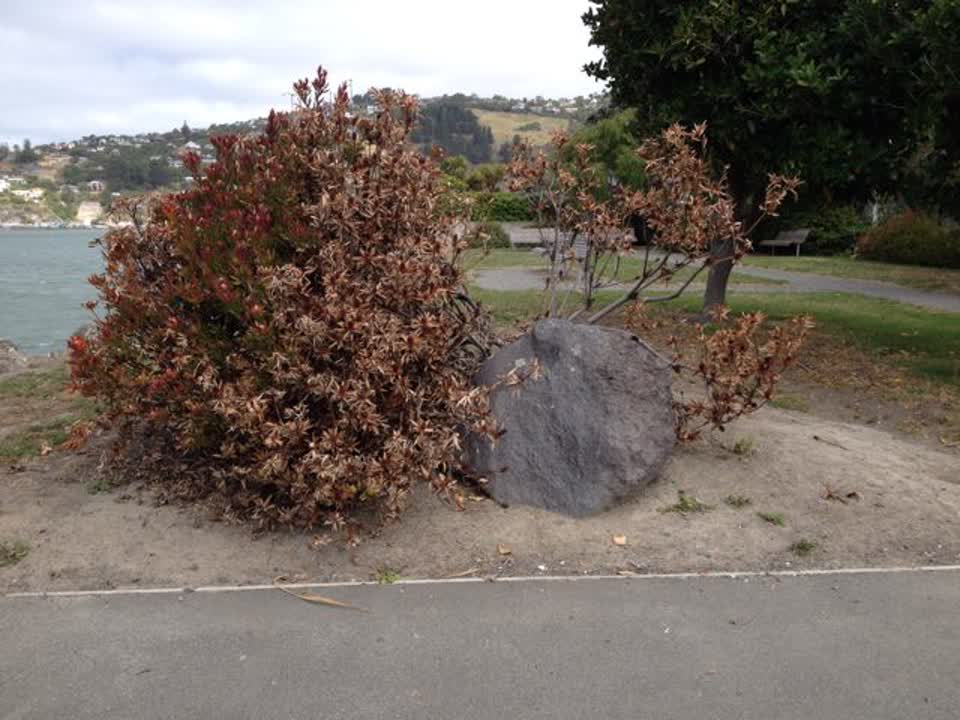 The photograph attached to this parks report