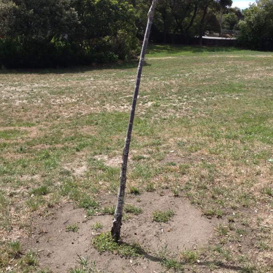 The photograph attached to this parks report