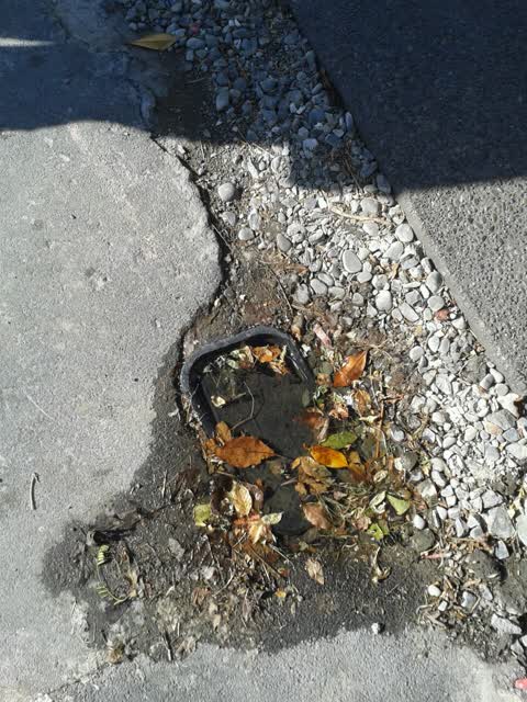 Wastewater/Stormwater, a report photo