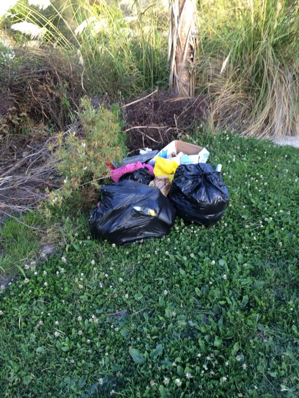 The photograph attached to this rubbish/recycling report