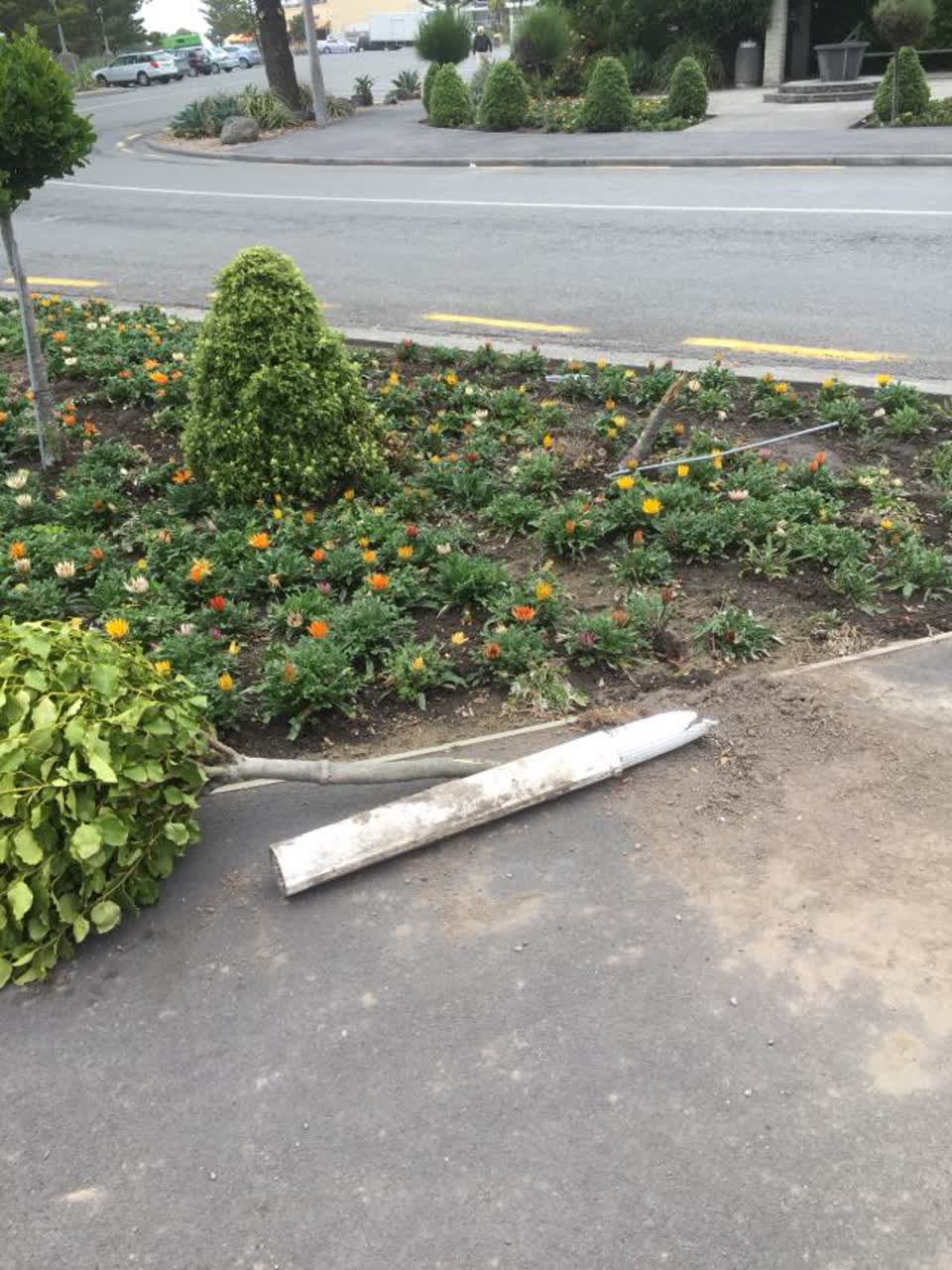 The photograph attached to this parks report