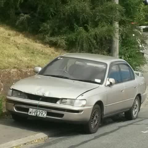 Roading/Streets, a report photo