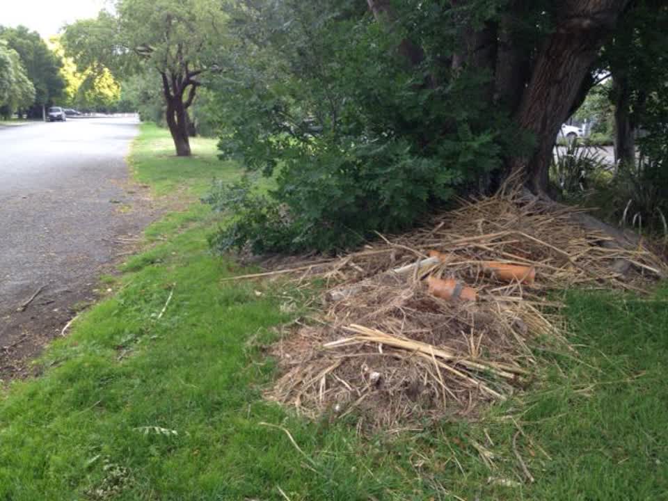 The photograph attached to this parks report