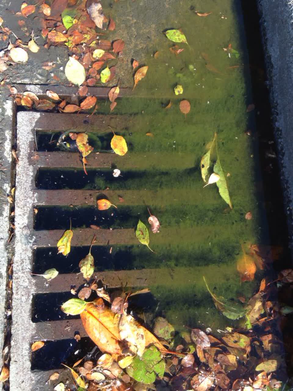 The photograph attached to this wastewater/stormwater report