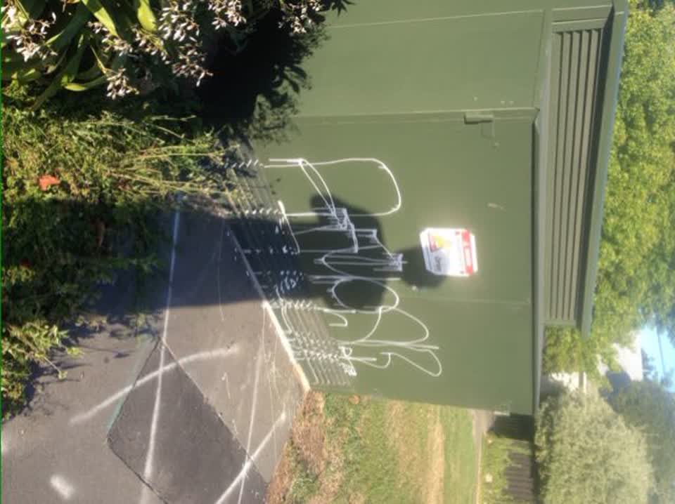 The photograph attached to this graffiti report