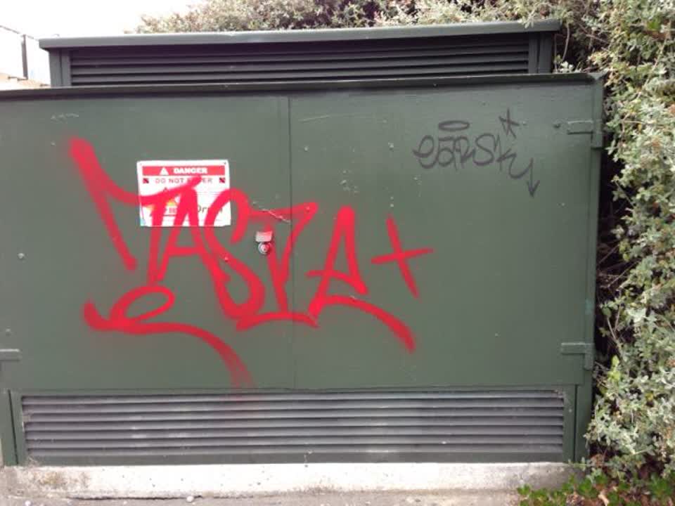 The photograph attached to this graffiti report