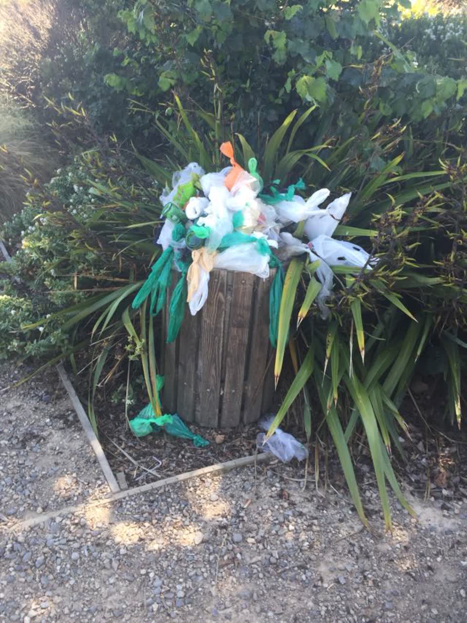 The photograph attached to this rubbish/recycling report