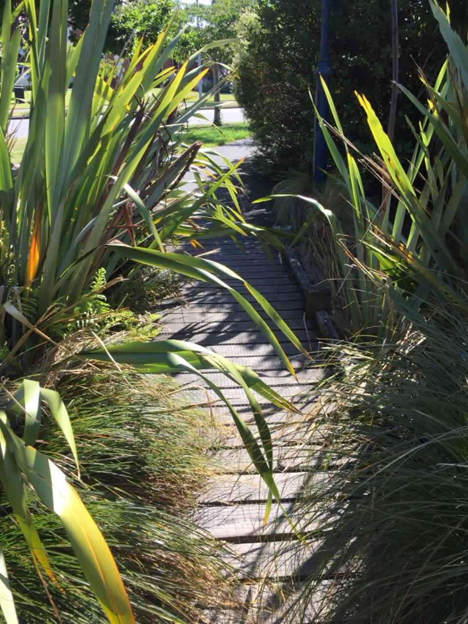 The photograph attached to this parks report