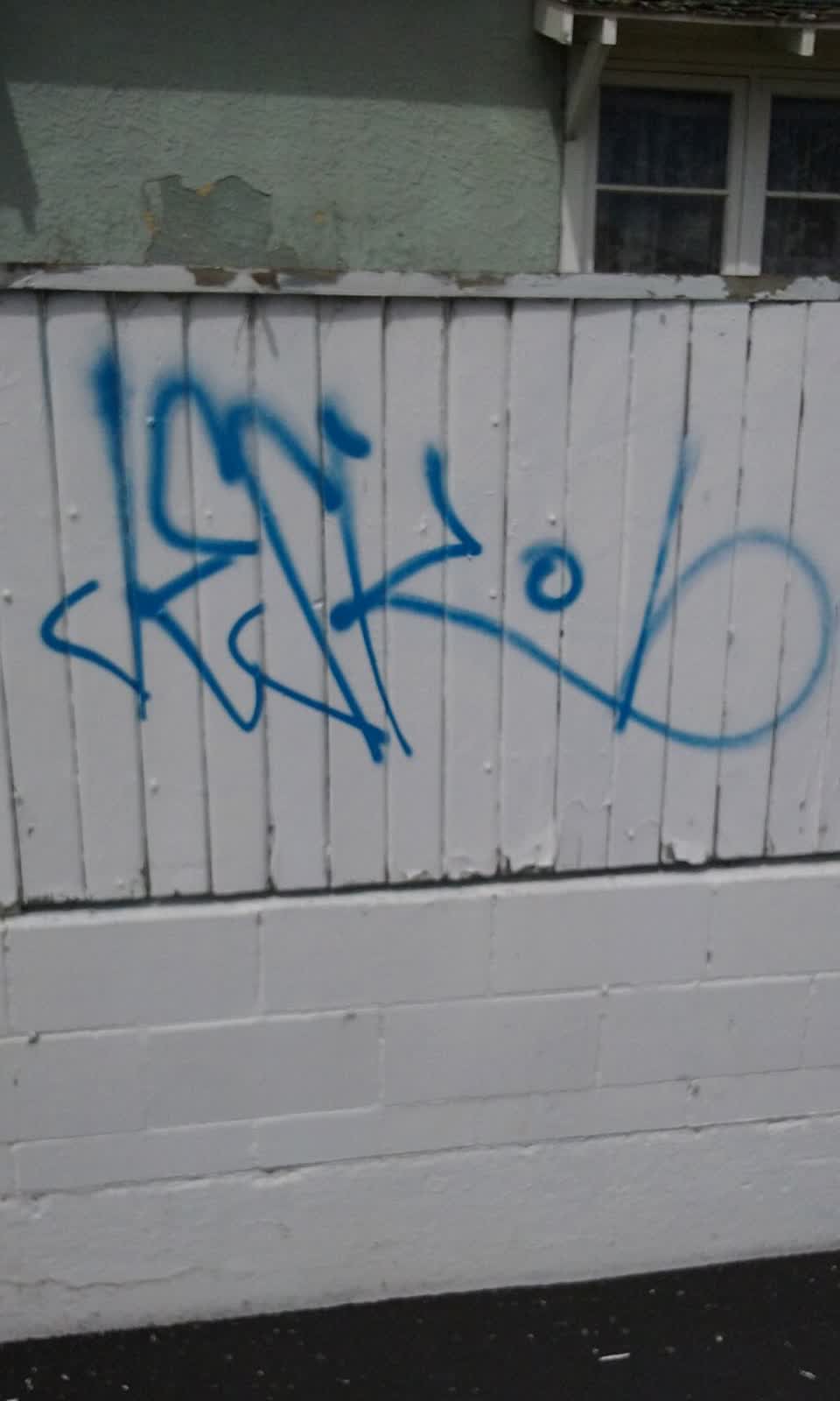 The photograph attached to this graffiti report