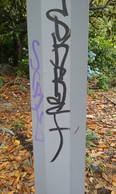 Graffiti, a report photo