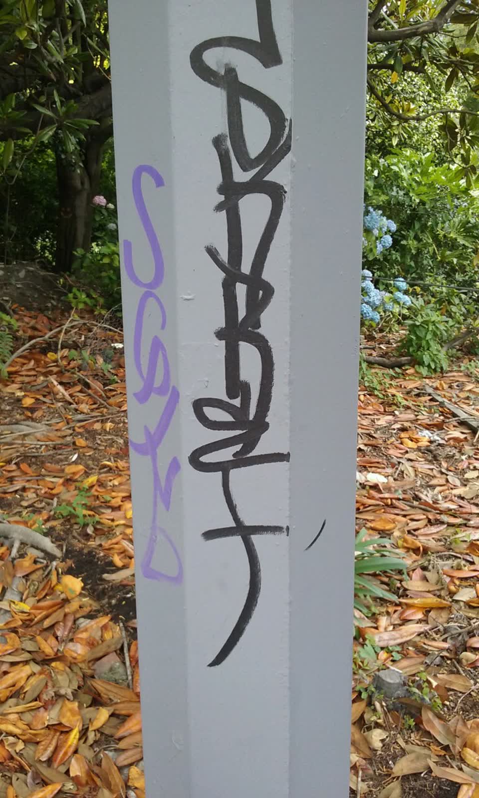 The photograph attached to this graffiti report