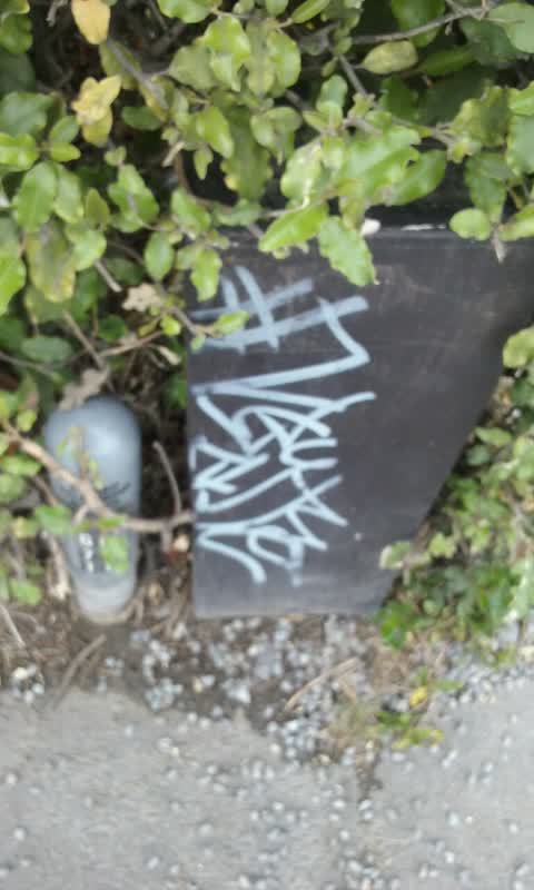 Graffiti, a report photo