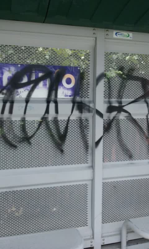 Graffiti, a report photo