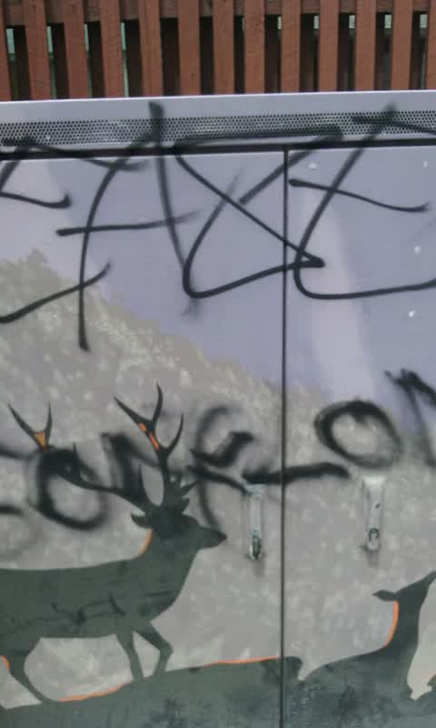 Graffiti, a report photo