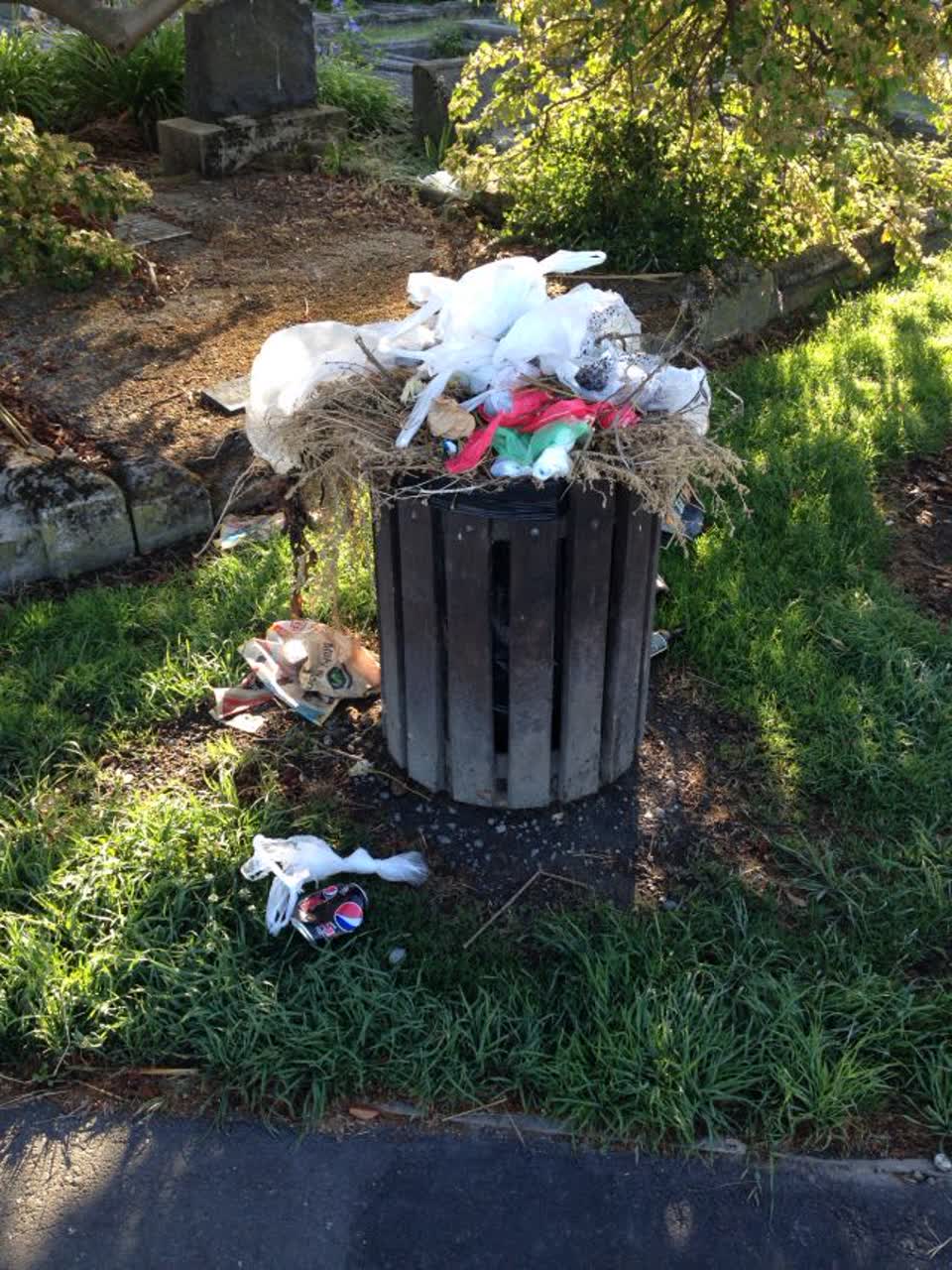 The photograph attached to this parks report