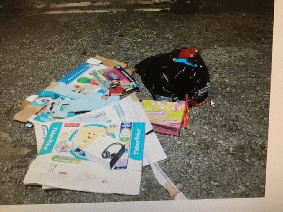 The photograph attached to this rubbish/recycling report