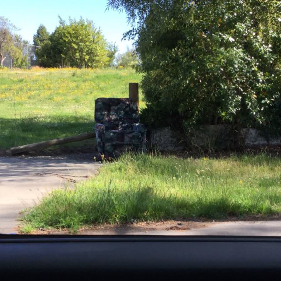 The photograph attached to this rubbish/recycling report