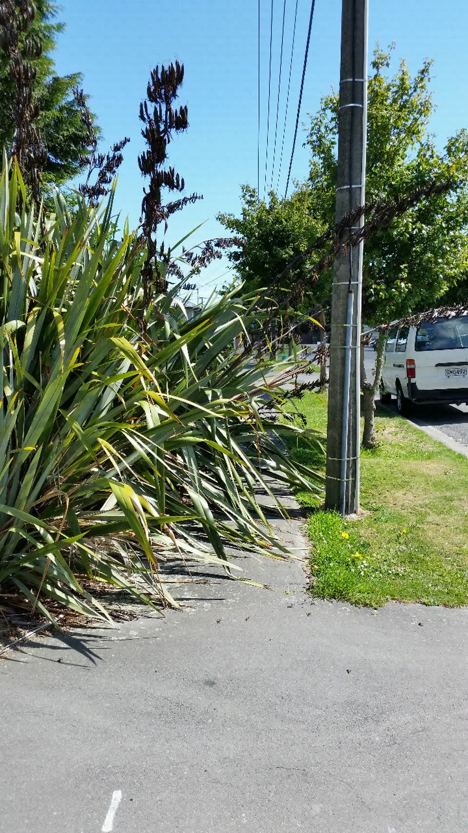 The photograph attached to this roading/streets report