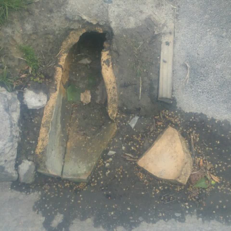The photograph attached to this roading/streets report